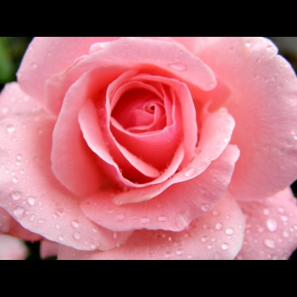 Meet your Posher, Aurora